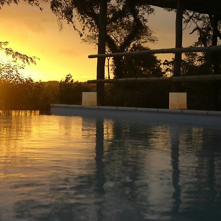 Raices Amambai Lodges Puerto Iguazu Luaran gambar